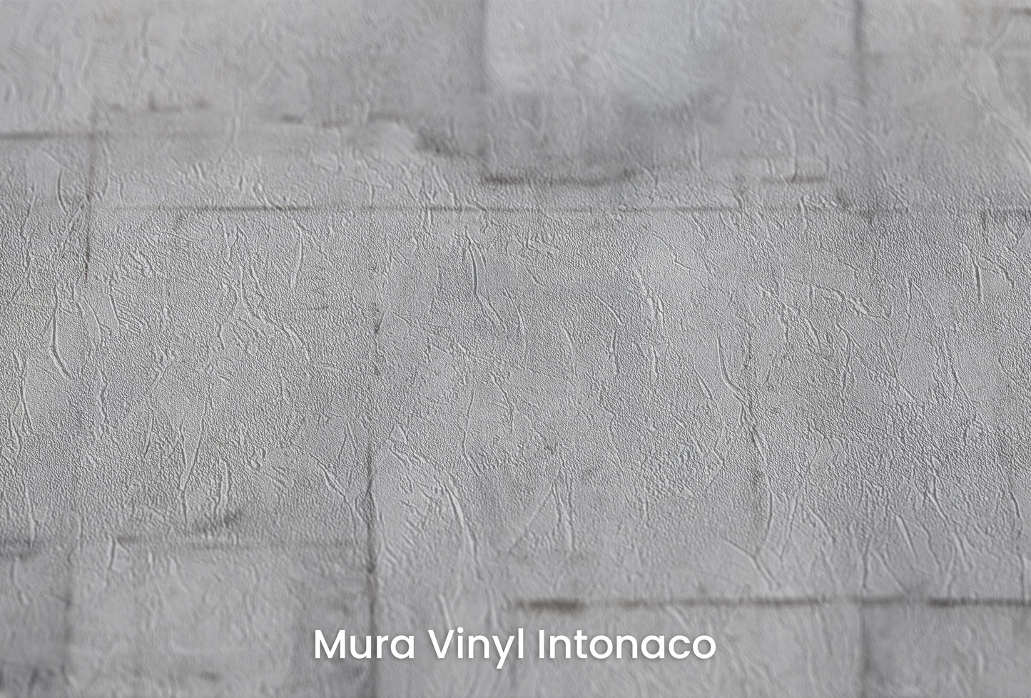 Zbliżenie na artystyczną fototapetę o nazwie Silver Lining #2 na podłożu Mura Vinyl Intonaco - struktura tartego tynku.