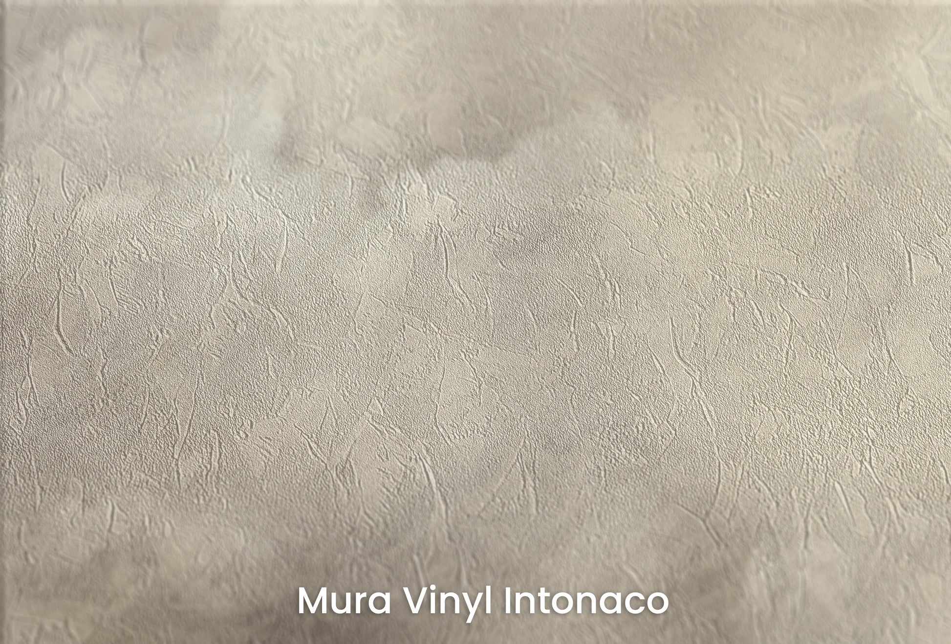 Zbliżenie na artystyczną fototapetę o nazwie SEPIA TEMPEST AURA na podłożu Mura Vinyl Intonaco - struktura tartego tynku.