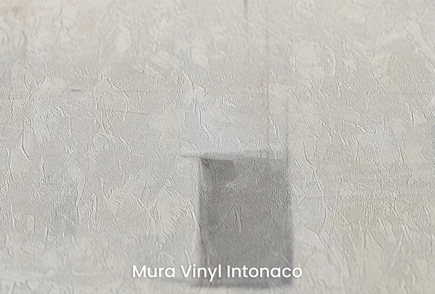Zbliżenie na artystyczną fototapetę o nazwie Quiet Complexity na podłożu Mura Vinyl Intonaco - struktura tartego tynku.