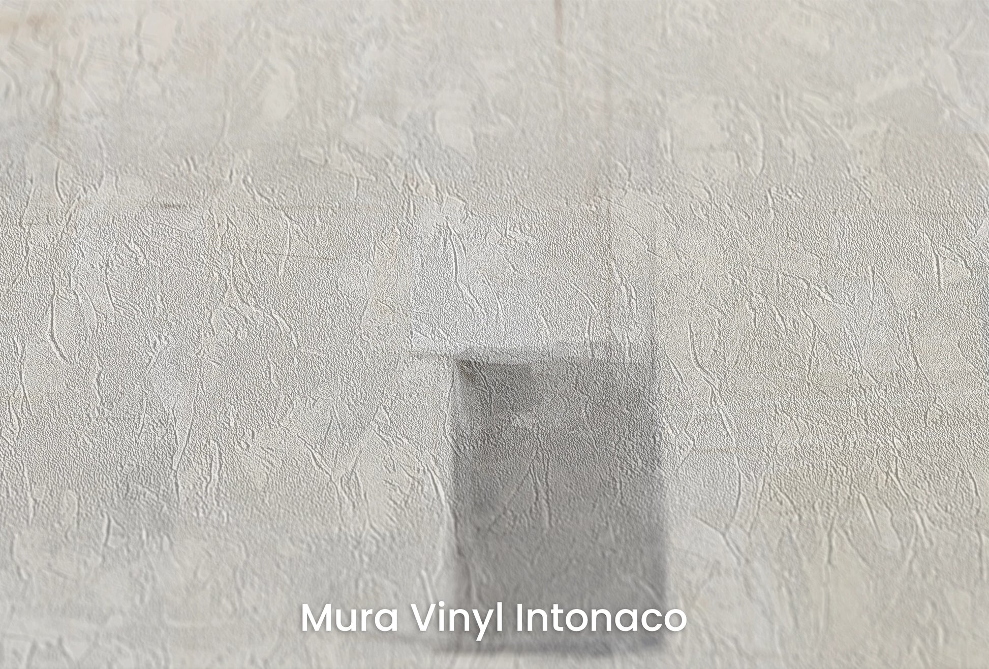 Zbliżenie na artystyczną fototapetę o nazwie Quiet Complexity na podłożu Mura Vinyl Intonaco - struktura tartego tynku.