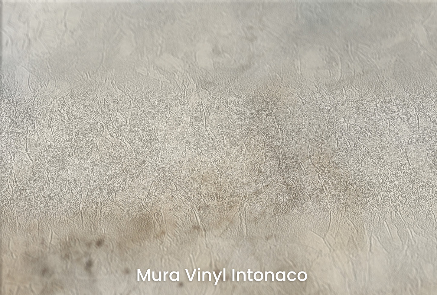 Zbliżenie na artystyczną fototapetę o nazwie STORM FRONT WHISPER na podłożu Mura Vinyl Intonaco - struktura tartego tynku.