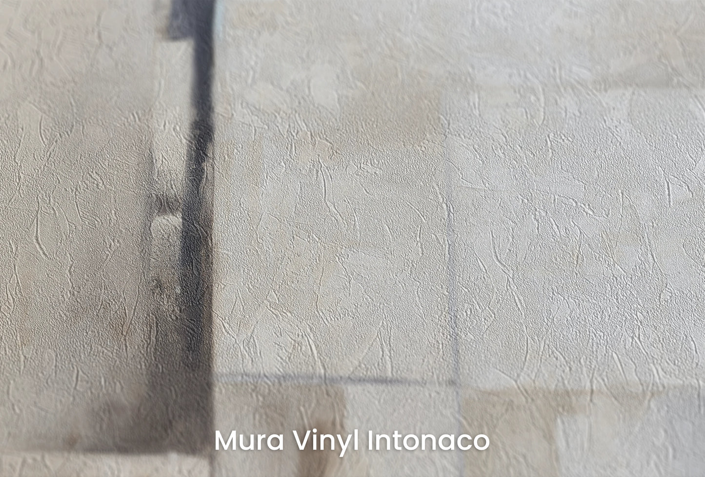 Zbliżenie na artystyczną fototapetę o nazwie Timeless Whisper na podłożu Mura Vinyl Intonaco - struktura tartego tynku.