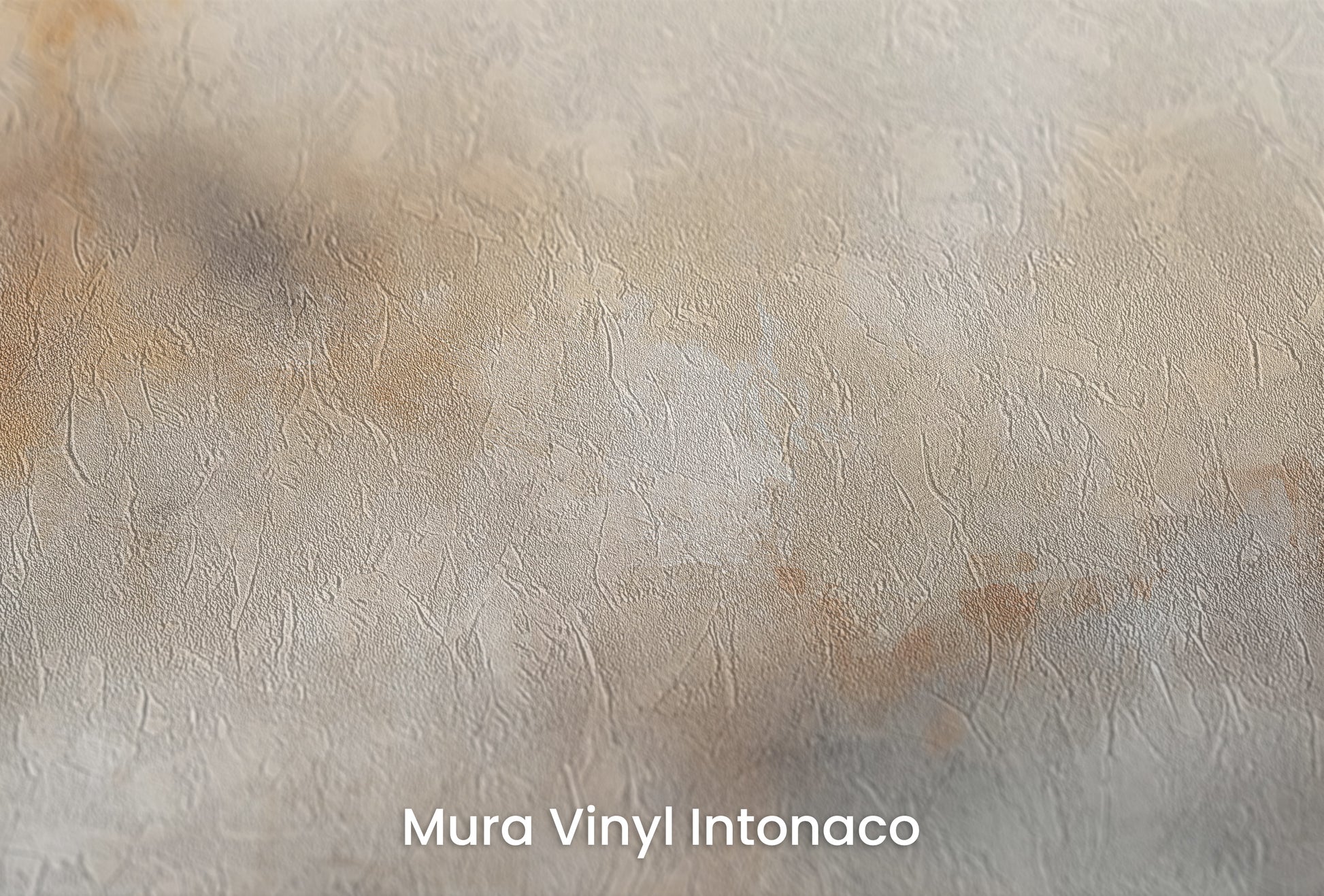 Zbliżenie na artystyczną fototapetę o nazwie GENTLE FROST MIST na podłożu Mura Vinyl Intonaco - struktura tartego tynku.