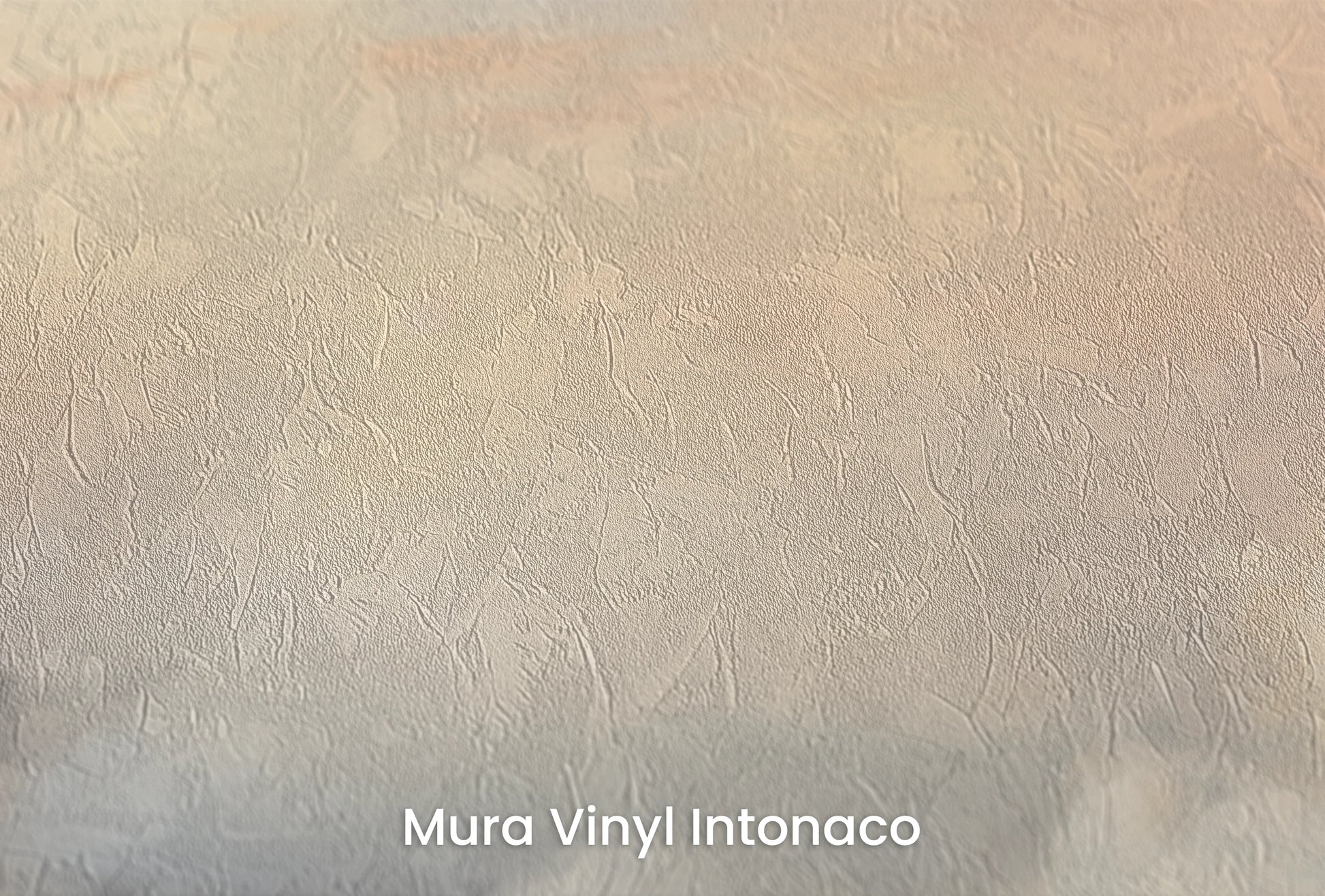 Zbliżenie na artystyczną fototapetę o nazwie Misty Morning Hues na podłożu Mura Vinyl Intonaco - struktura tartego tynku.