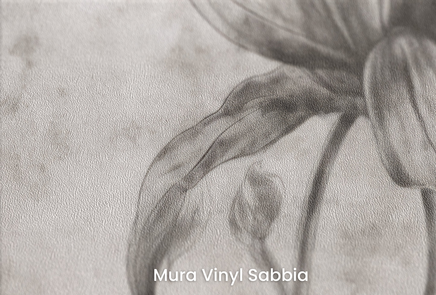 Zbliżenie na artystyczną fototapetę o nazwie TIMELESS BLOOM na podłożu Mura Vinyl Sabbia struktura grubego ziarna piasku.