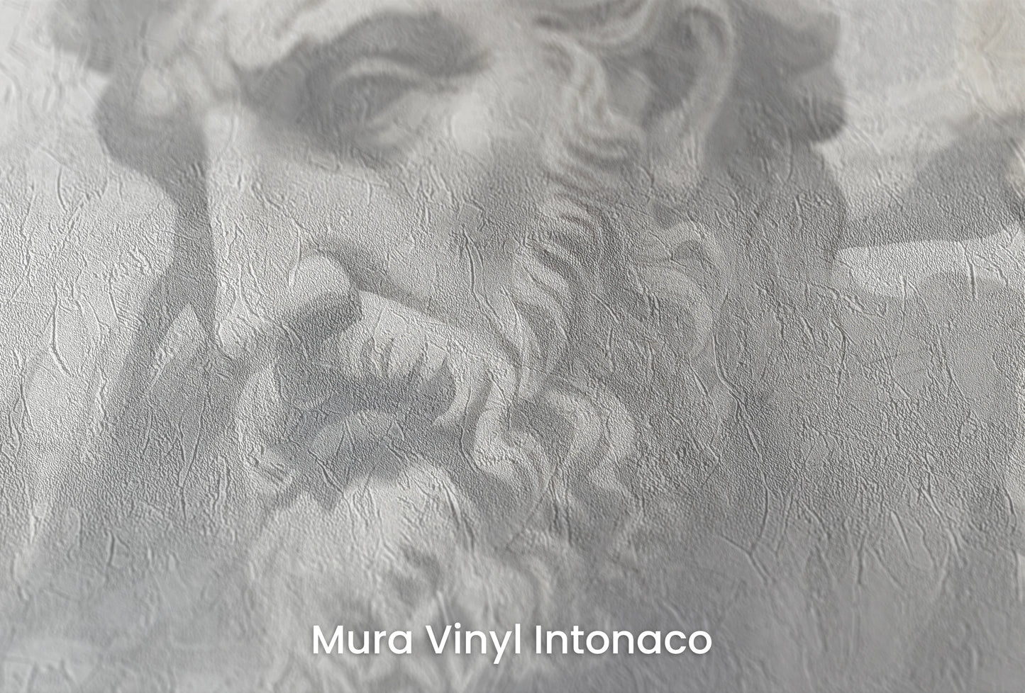 Zbliżenie na artystyczną fototapetę o nazwie Stoic Trio na podłożu Mura Vinyl Intonaco - struktura tartego tynku.