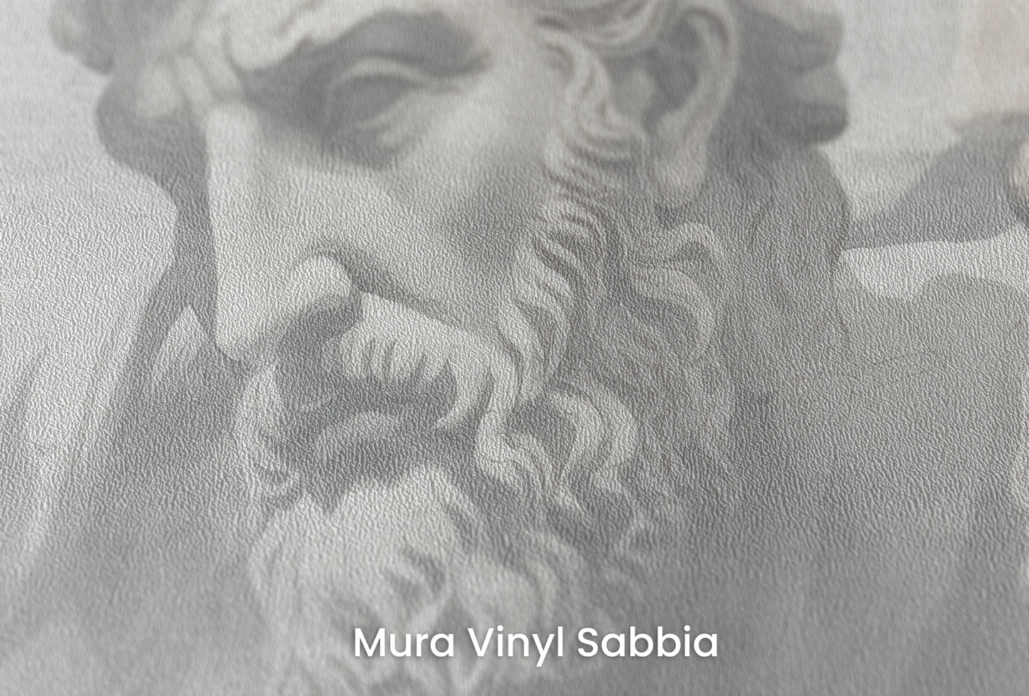 Zbliżenie na artystyczną fototapetę o nazwie Stoic Trio na podłożu Mura Vinyl Sabbia struktura grubego ziarna piasku.