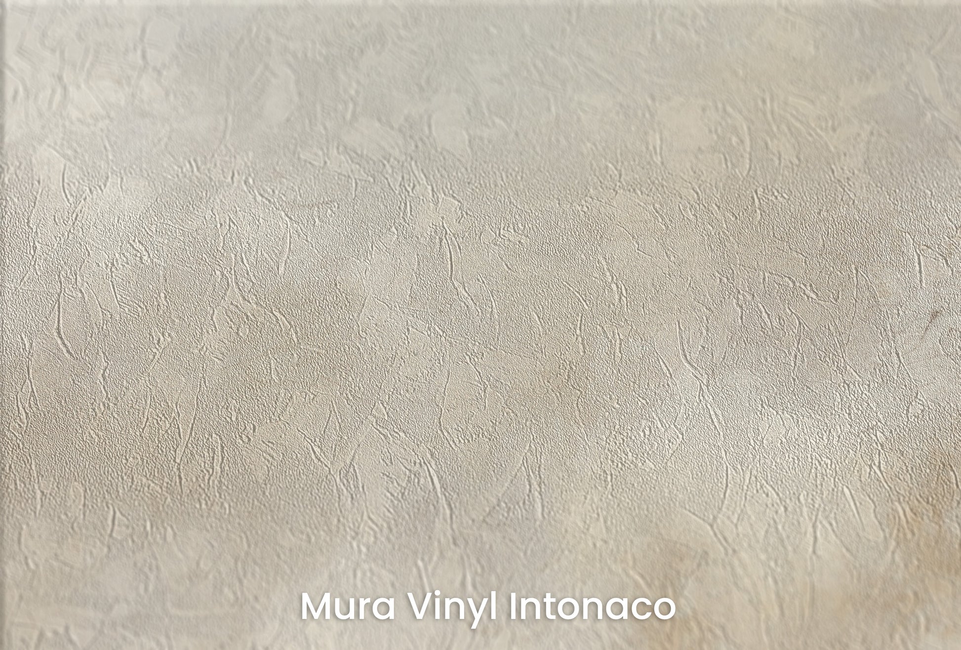 Zbliżenie na artystyczną fototapetę o nazwie AMBER DAWN na podłożu Mura Vinyl Intonaco - struktura tartego tynku.
