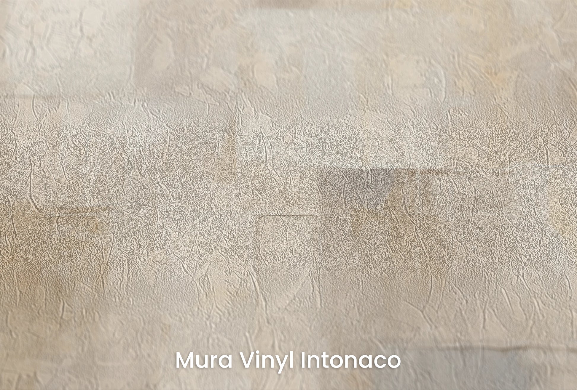 Zbliżenie na artystyczną fototapetę o nazwie Neutral Blocks na podłożu Mura Vinyl Intonaco - struktura tartego tynku.