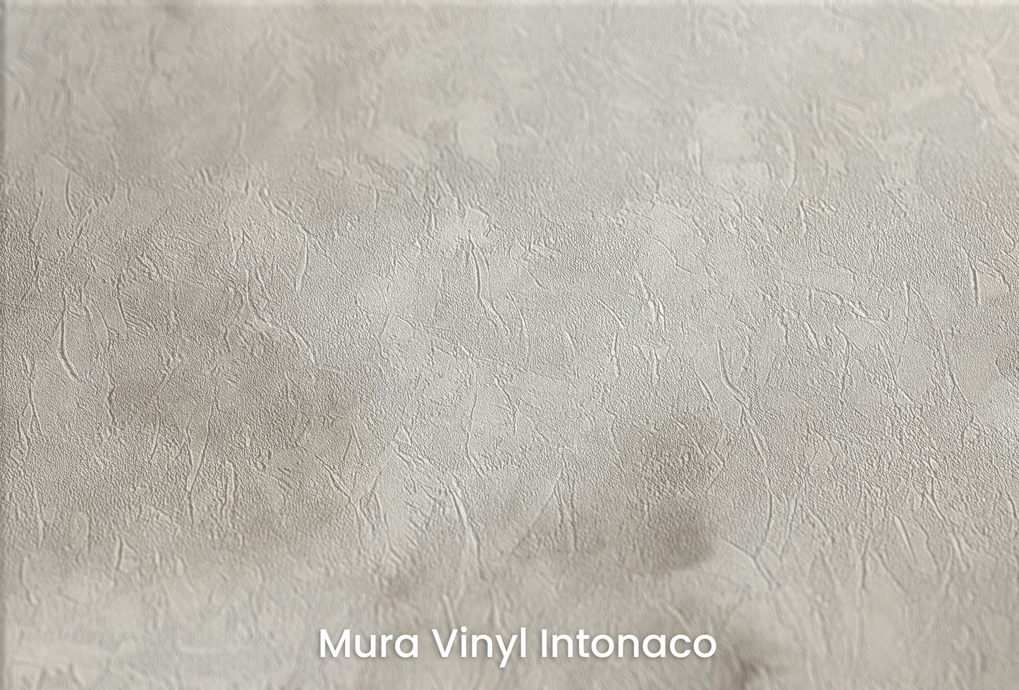 Zbliżenie na artystyczną fototapetę o nazwie WHISPERING CLOUDS na podłożu Mura Vinyl Intonaco - struktura tartego tynku.