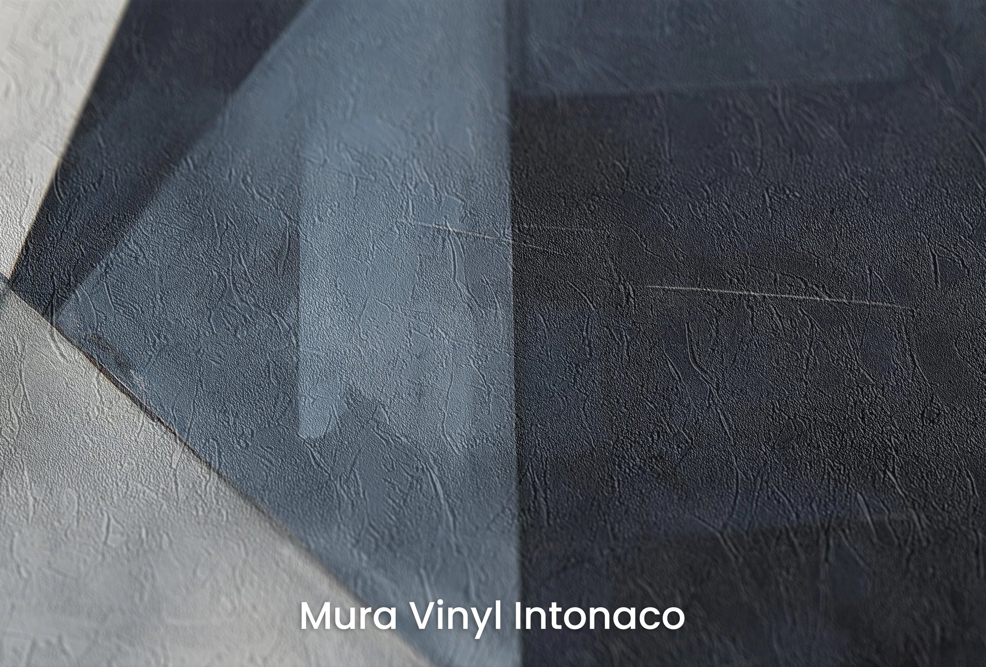 Zbliżenie na artystyczną fototapetę o nazwie Monochrome Motion na podłożu Mura Vinyl Intonaco - struktura tartego tynku.