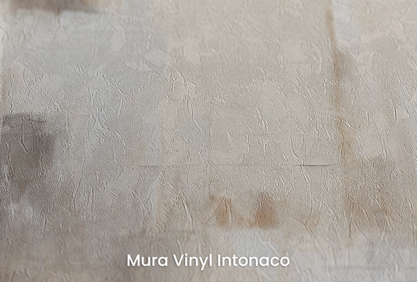 Zbliżenie na artystyczną fototapetę o nazwie Cream Harmony na podłożu Mura Vinyl Intonaco - struktura tartego tynku.