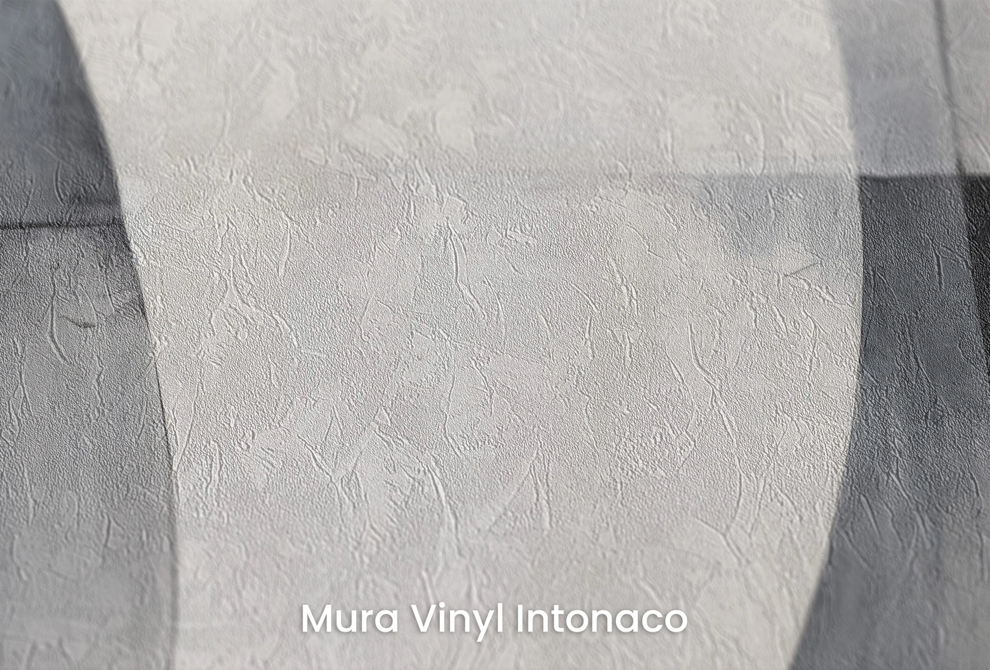 Zbliżenie na artystyczną fototapetę o nazwie Crescent Contrast na podłożu Mura Vinyl Intonaco - struktura tartego tynku.