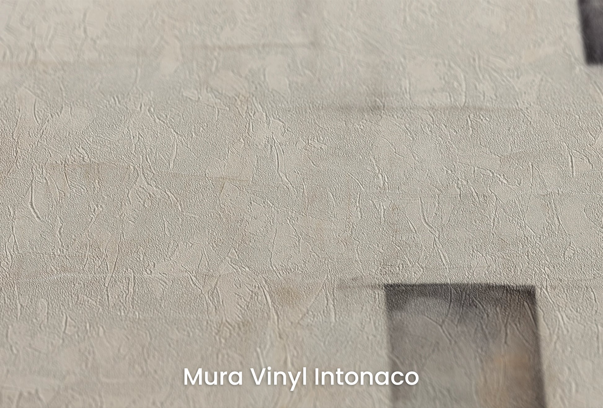 Zbliżenie na artystyczną fototapetę o nazwie Balanced Composition na podłożu Mura Vinyl Intonaco - struktura tartego tynku.