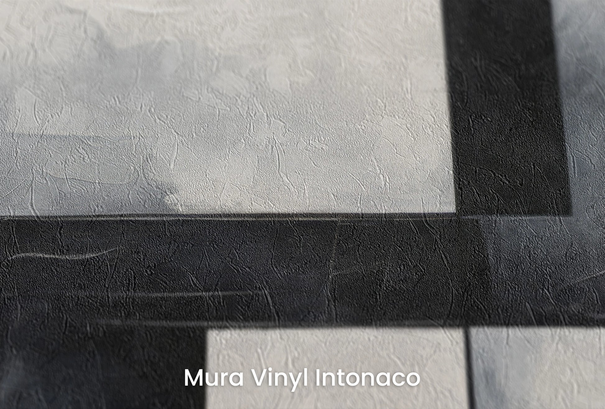 Zbliżenie na artystyczną fototapetę o nazwie Monochrome Slice na podłożu Mura Vinyl Intonaco - struktura tartego tynku.