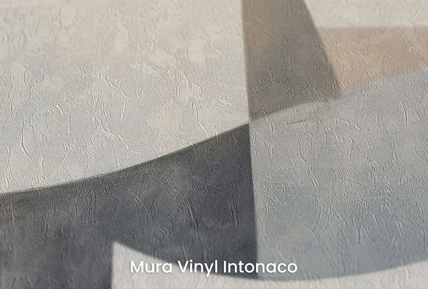 Zbliżenie na artystyczną fototapetę o nazwie Curved Tranquility na podłożu Mura Vinyl Intonaco - struktura tartego tynku.
