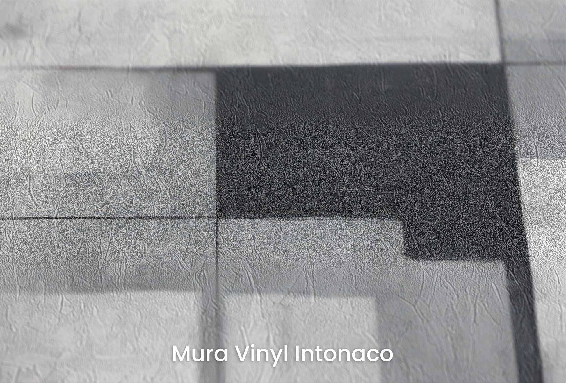 Zbliżenie na artystyczną fototapetę o nazwie Monochromatic Elegance #2 na podłożu Mura Vinyl Intonaco - struktura tartego tynku.