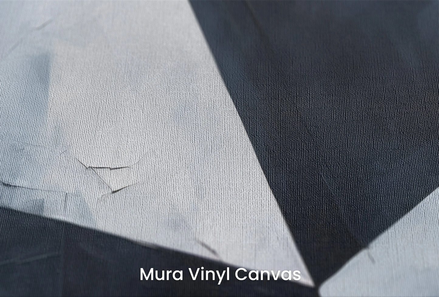 Zbliżenie na artystyczną fototapetę o nazwie Sharp Contrast na podłożu Mura Vinyl Canvas - faktura naturalnego płótna.