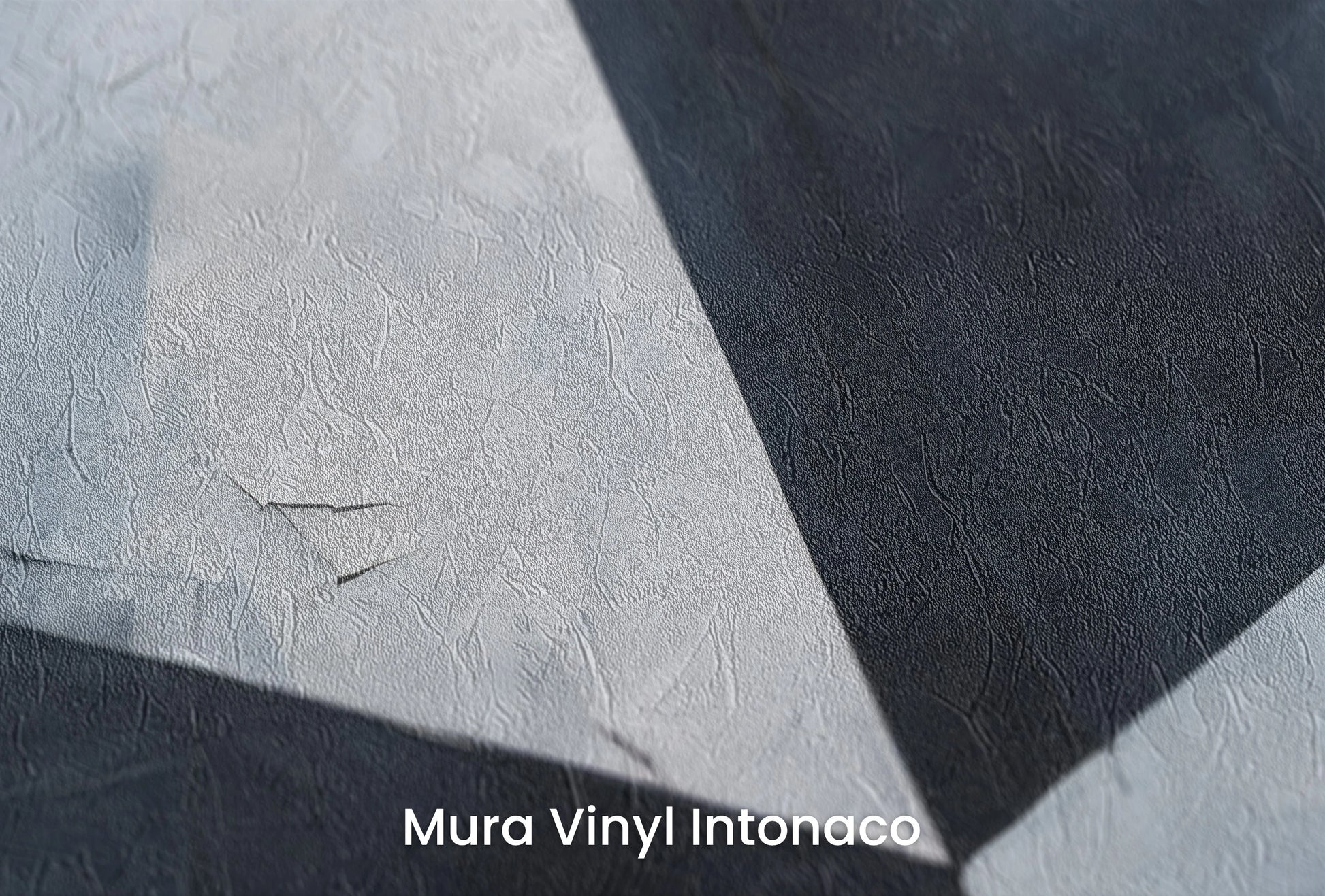 Zbliżenie na artystyczną fototapetę o nazwie Sharp Contrast na podłożu Mura Vinyl Intonaco - struktura tartego tynku.