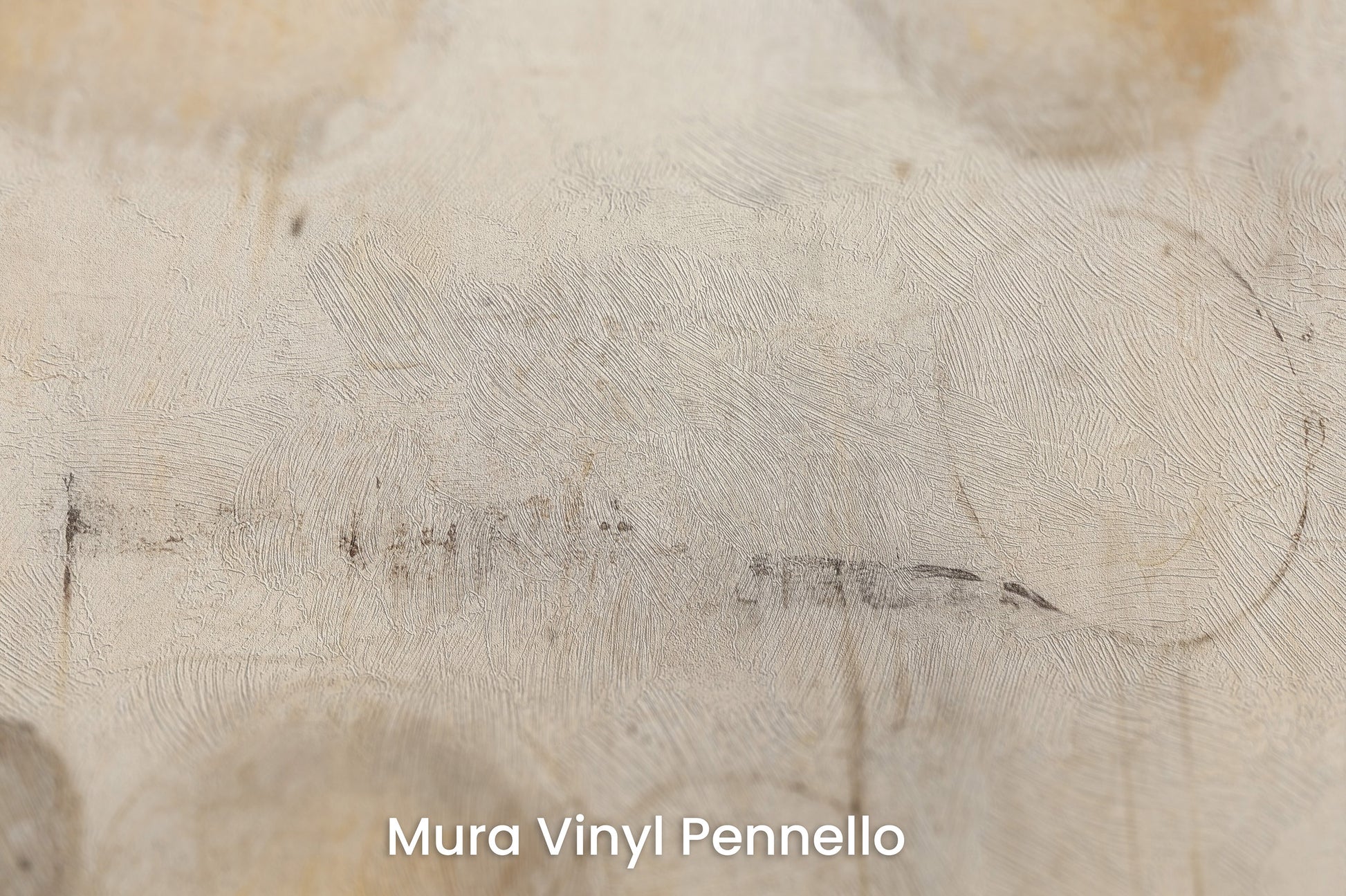 Zbliżenie na artystyczną fototapetę o nazwie GOLDEN MIST ORBITALS #2 na podłożu Mura Vinyl Pennello - faktura pociągnięć pędzla malarskiego.