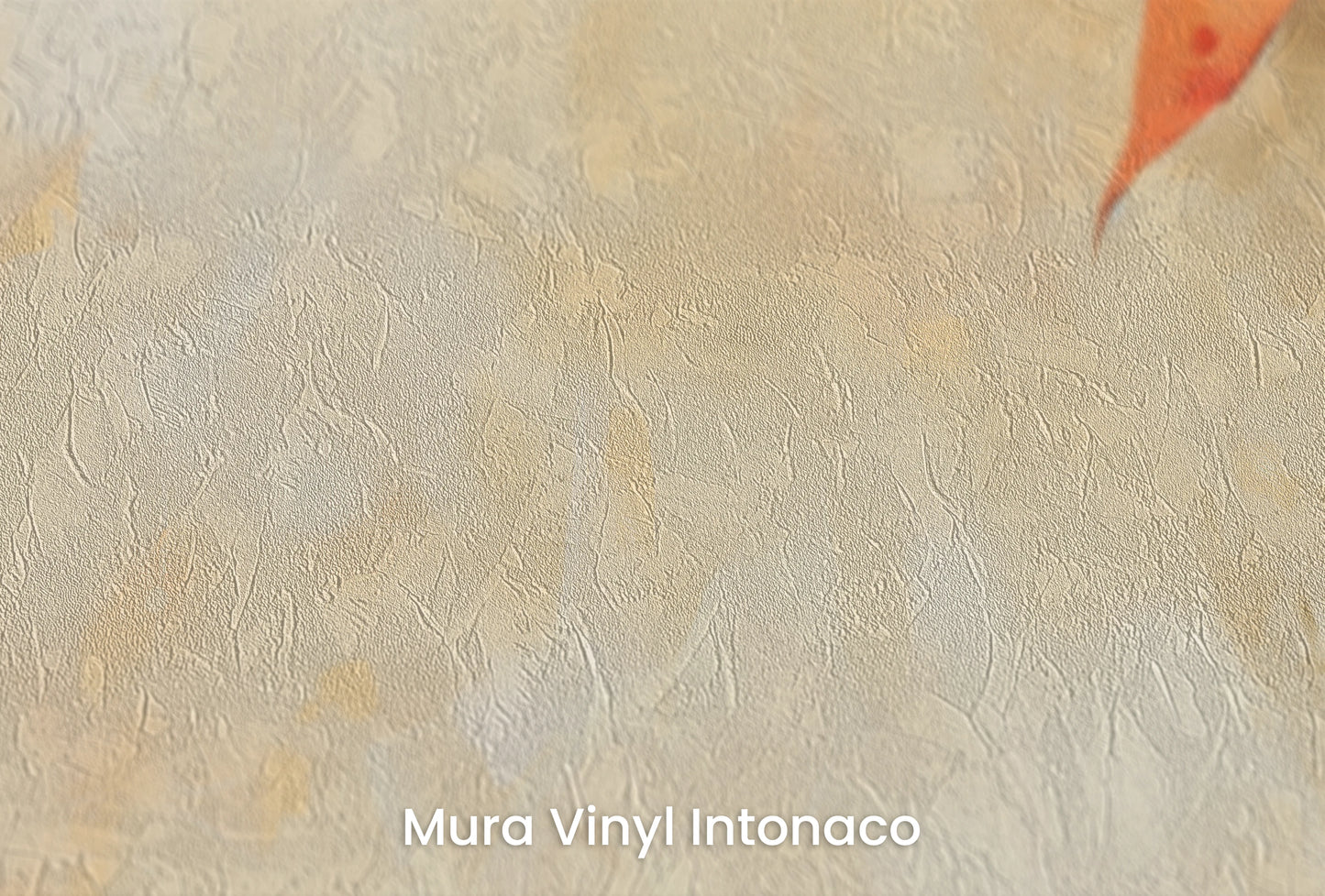 Zbliżenie na artystyczną fototapetę o nazwie Creamy Canvas na podłożu Mura Vinyl Intonaco - struktura tartego tynku.