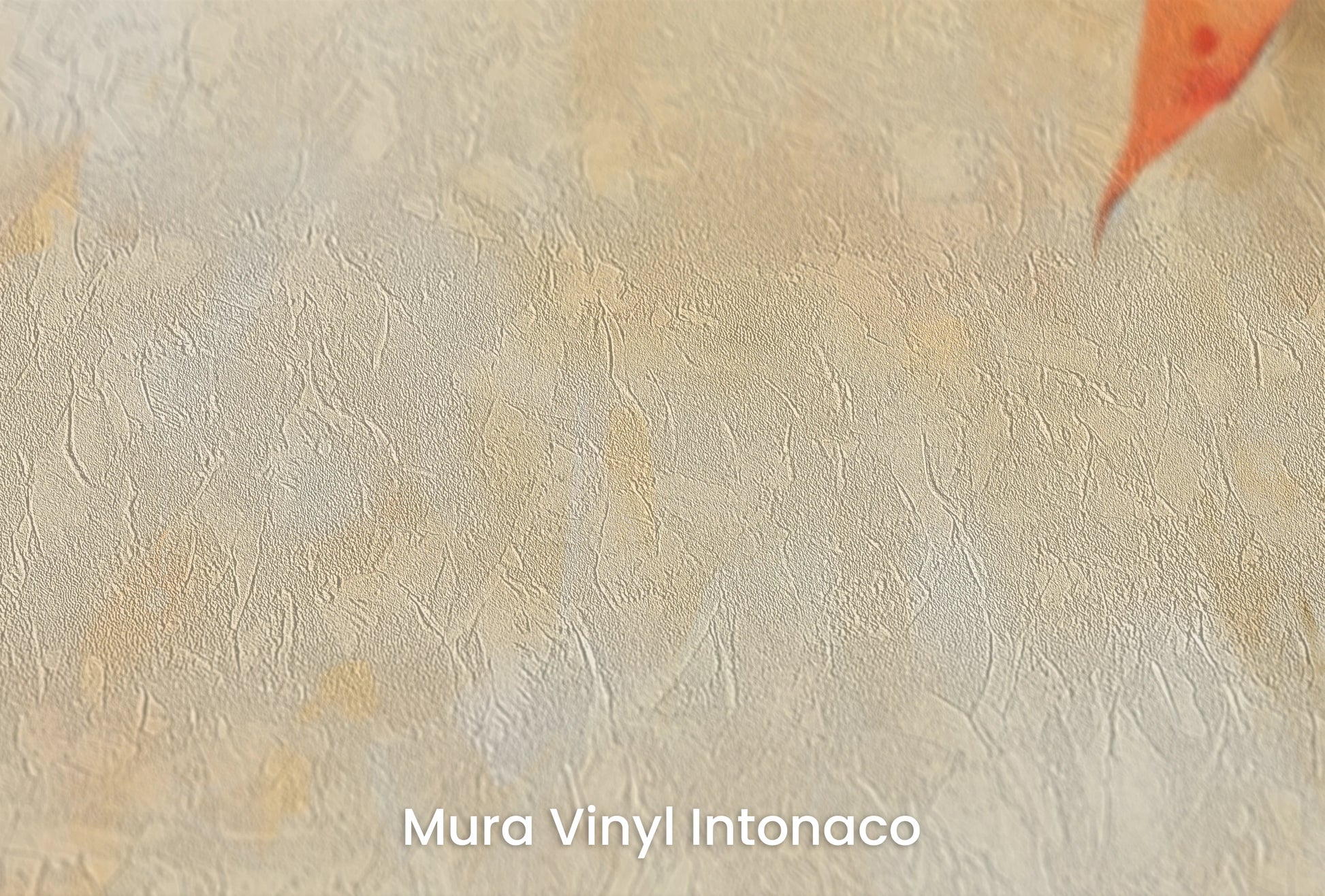 Zbliżenie na artystyczną fototapetę o nazwie Creamy Canvas na podłożu Mura Vinyl Intonaco - struktura tartego tynku.