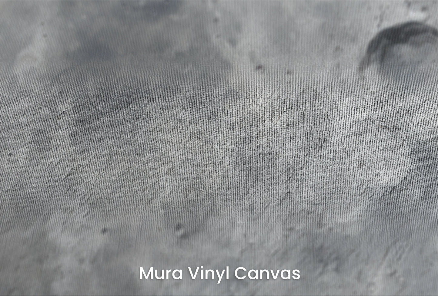 Zbliżenie na artystyczną fototapetę o nazwie Martian Elegance na podłożu Mura Vinyl Canvas - faktura naturalnego płótna.