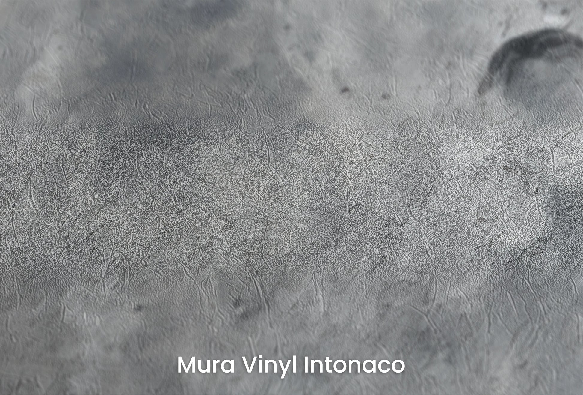 Zbliżenie na artystyczną fototapetę o nazwie Martian Elegance na podłożu Mura Vinyl Intonaco - struktura tartego tynku.