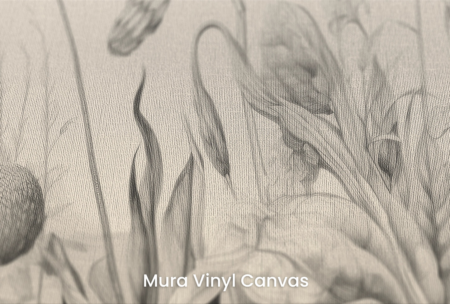 Zbliżenie na artystyczną fototapetę o nazwie Poppy Field Sketch na podłożu Mura Vinyl Canvas - faktura naturalnego płótna.