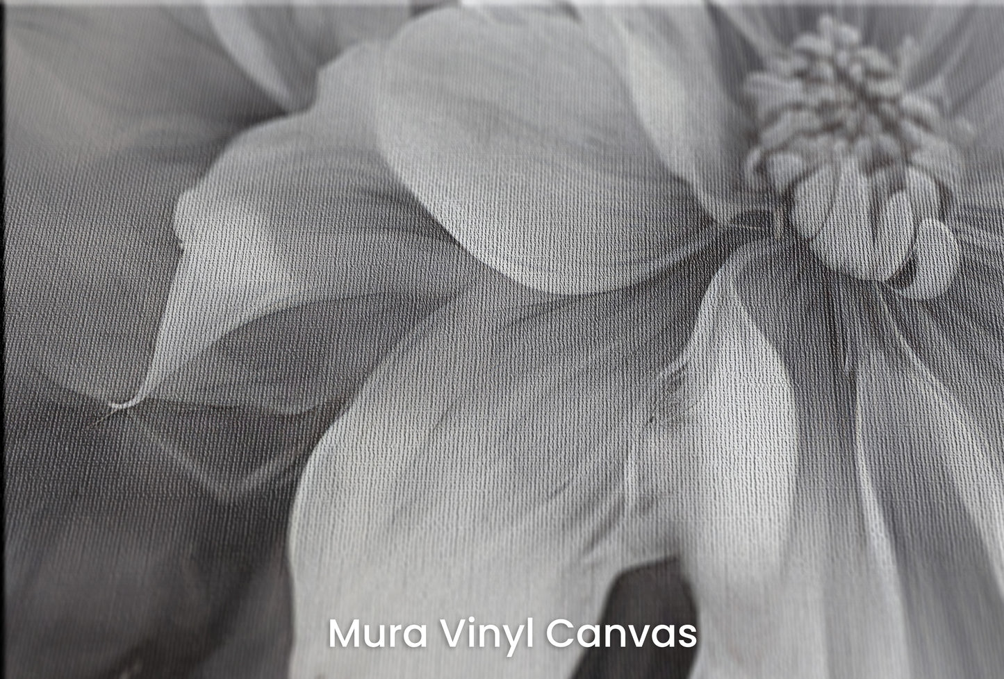 Zbliżenie na artystyczną fototapetę o nazwie NOIR FLORALE na podłożu Mura Vinyl Canvas - faktura naturalnego płótna.