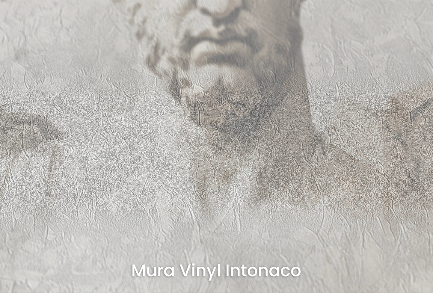 Zbliżenie na artystyczną fototapetę o nazwie Apollo's Melody na podłożu Mura Vinyl Intonaco - struktura tartego tynku.