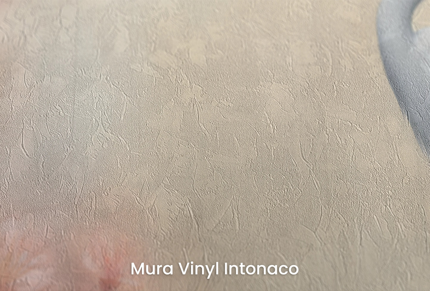Zbliżenie na artystyczną fototapetę o nazwie Graceful Crane na podłożu Mura Vinyl Intonaco - struktura tartego tynku.