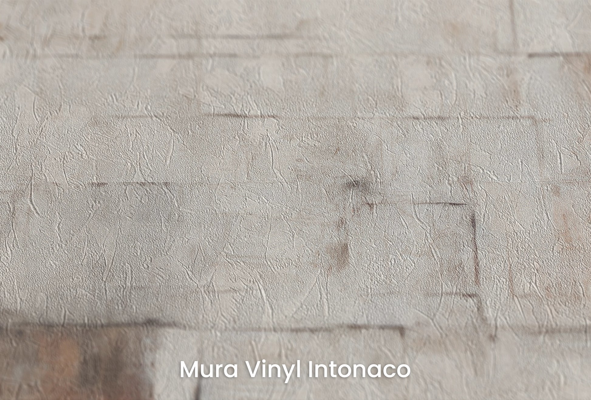 Zbliżenie na artystyczną fototapetę o nazwie Muted Fresco na podłożu Mura Vinyl Intonaco - struktura tartego tynku.