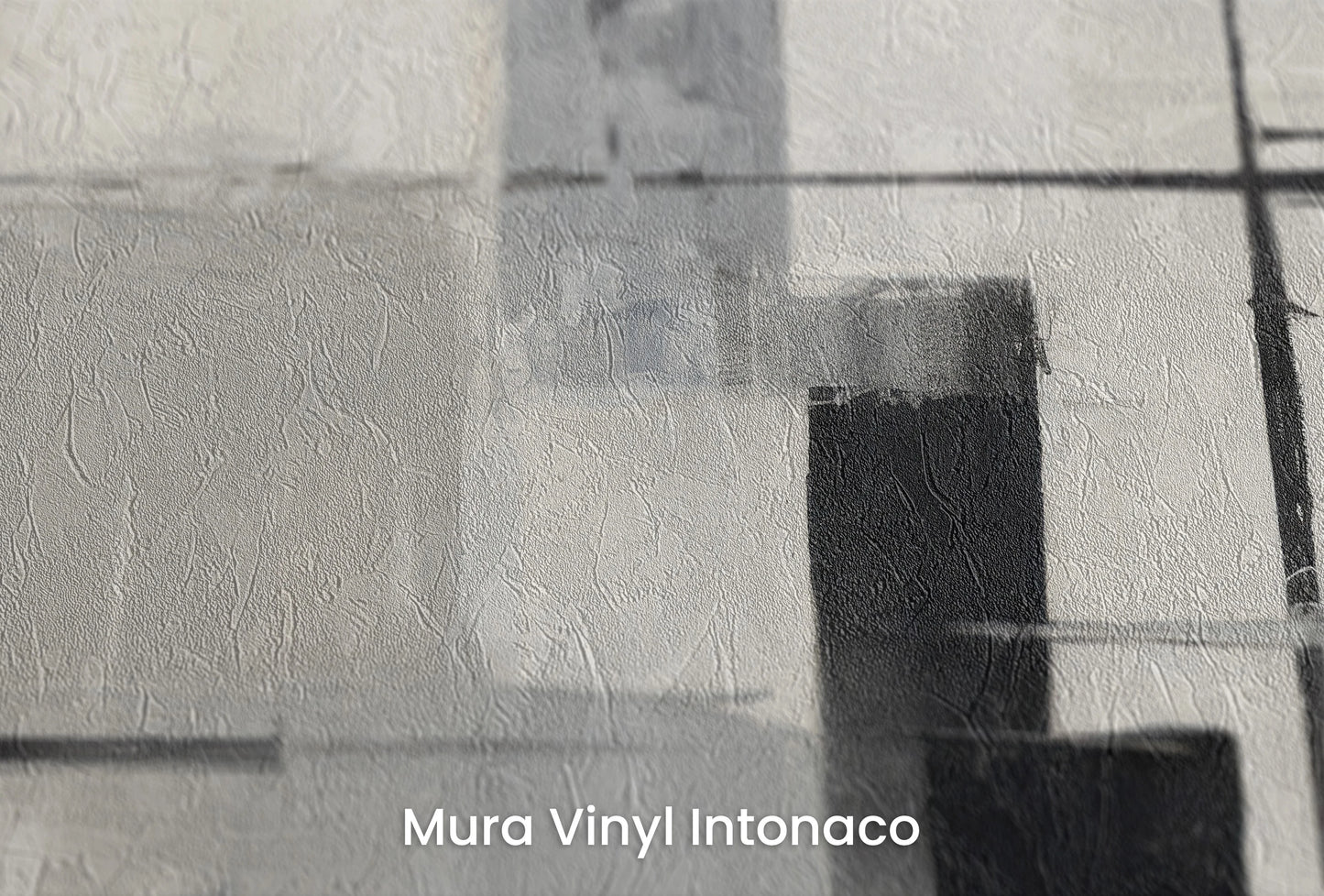 Zbliżenie na artystyczną fototapetę o nazwie Structured Silence na podłożu Mura Vinyl Intonaco - struktura tartego tynku.