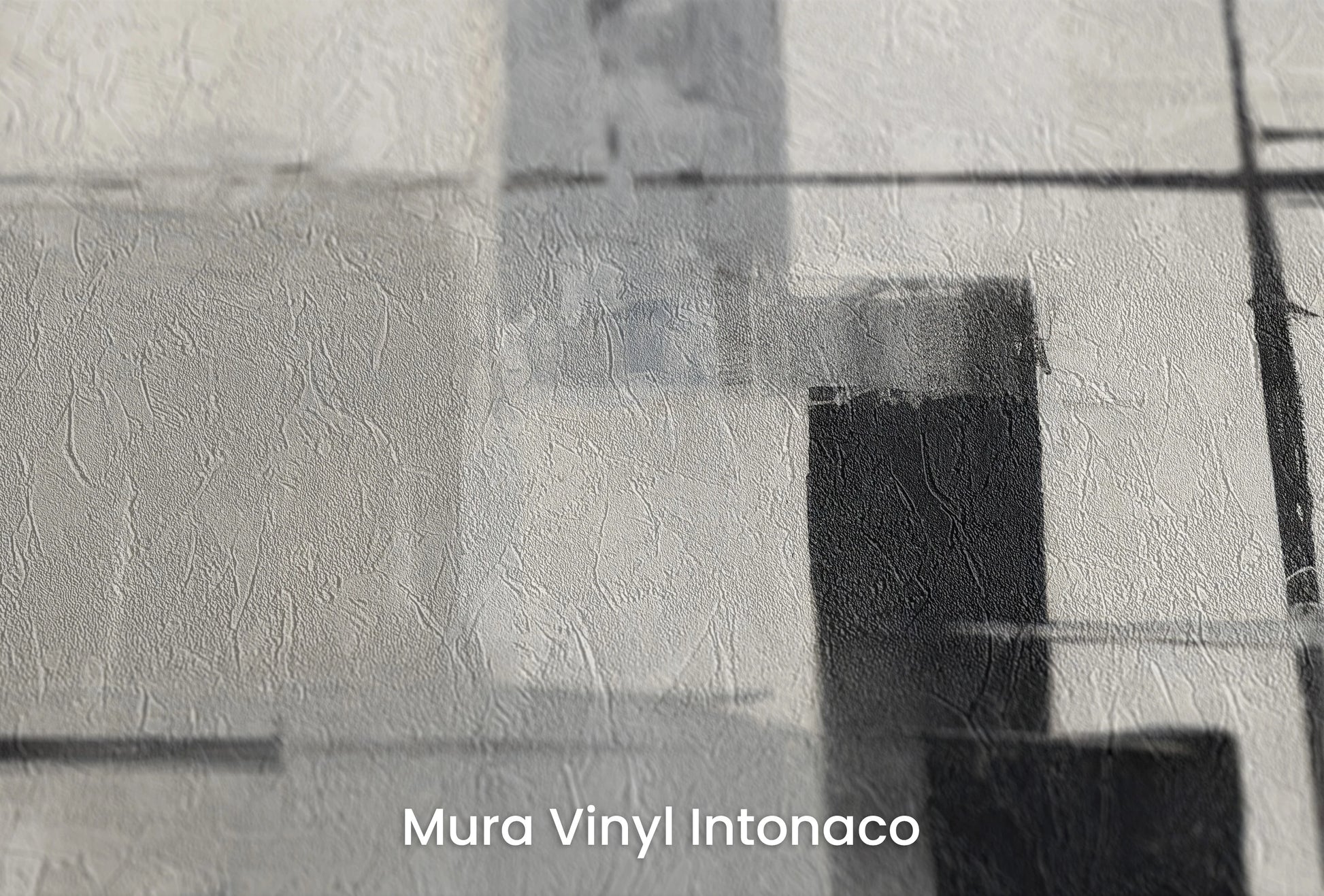 Zbliżenie na artystyczną fototapetę o nazwie Structured Silence na podłożu Mura Vinyl Intonaco - struktura tartego tynku.