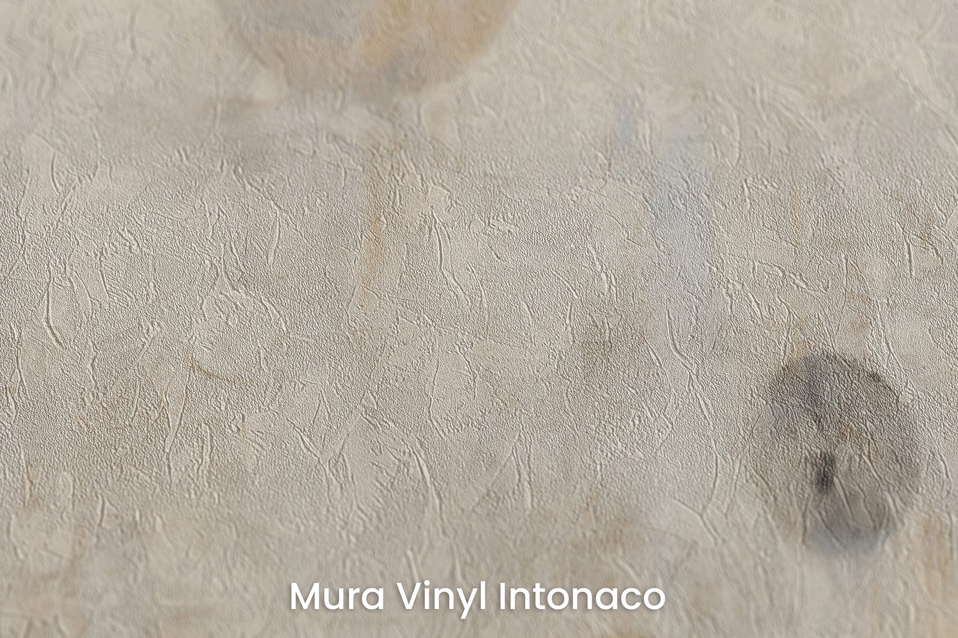 Zbliżenie na artystyczną fototapetę o nazwie WHISPERING ORBITAL SHADOWS na podłożu Mura Vinyl Intonaco - struktura tartego tynku.