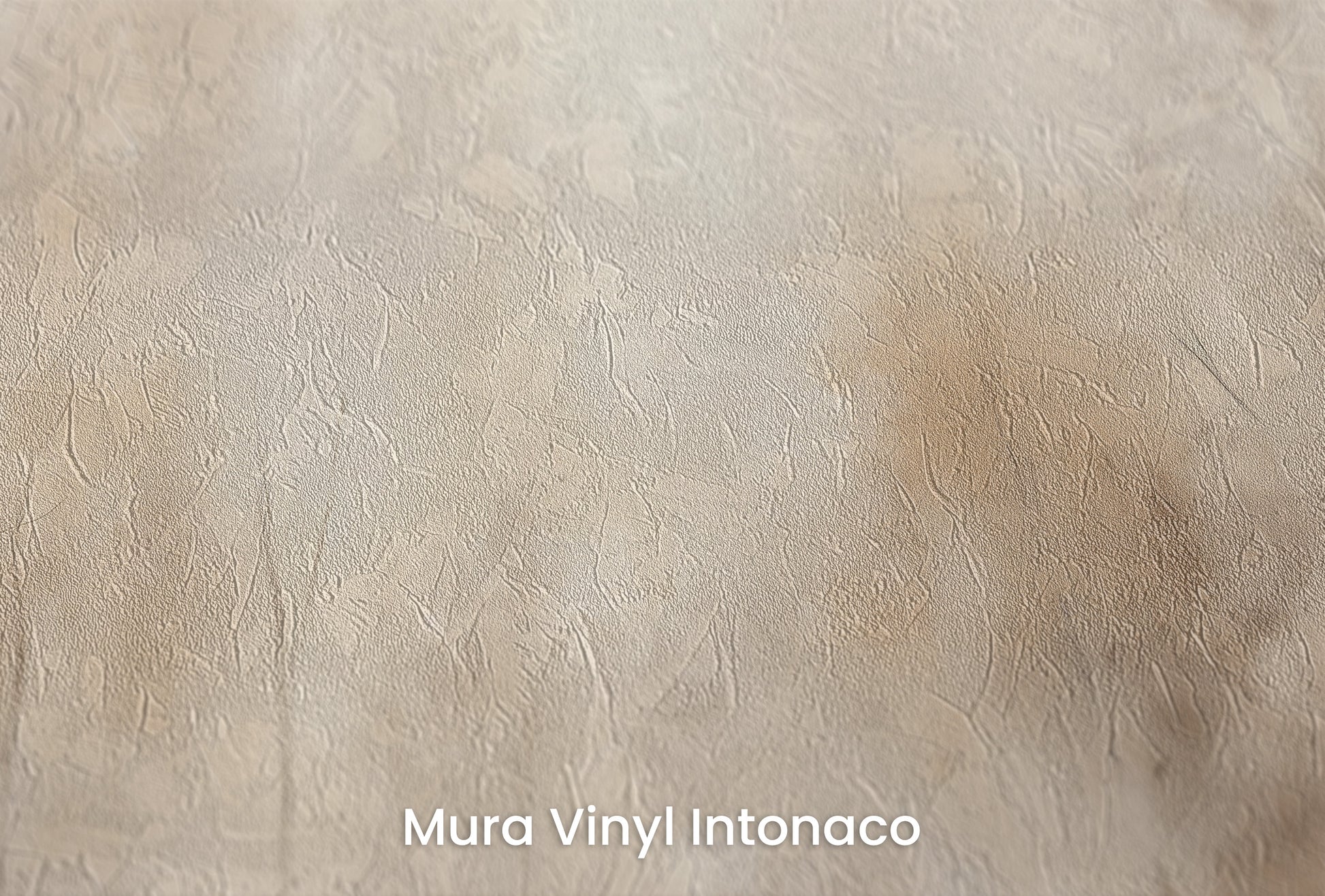 Zbliżenie na artystyczną fototapetę o nazwie AMBER FOG FOREST MURAL na podłożu Mura Vinyl Intonaco - struktura tartego tynku.