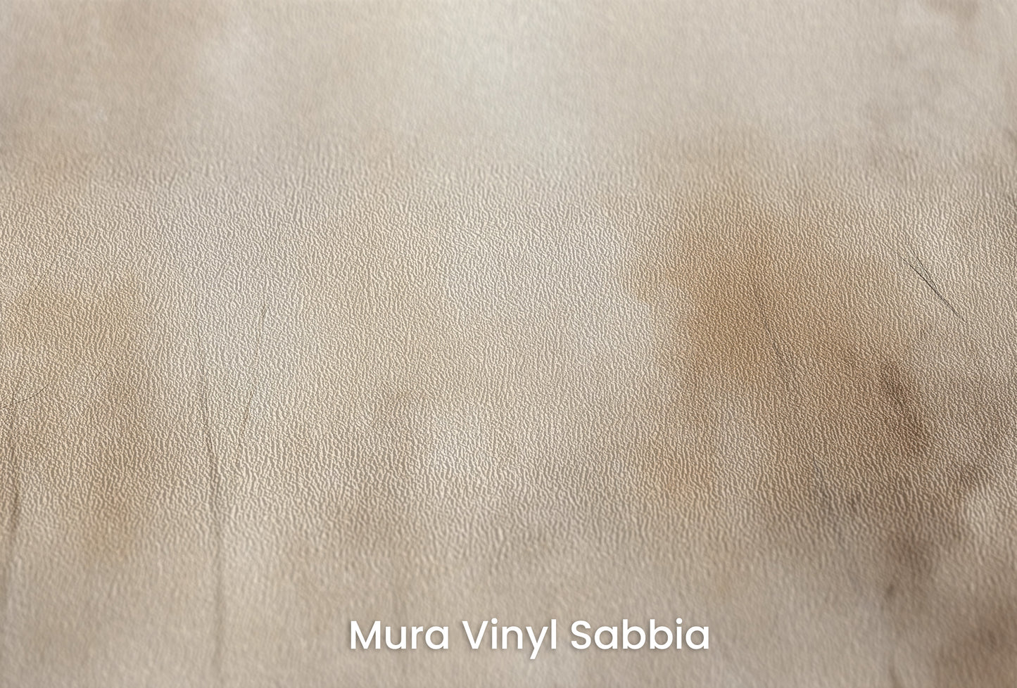 Zbliżenie na artystyczną fototapetę o nazwie AMBER FOG FOREST MURAL na podłożu Mura Vinyl Sabbia struktura grubego ziarna piasku.