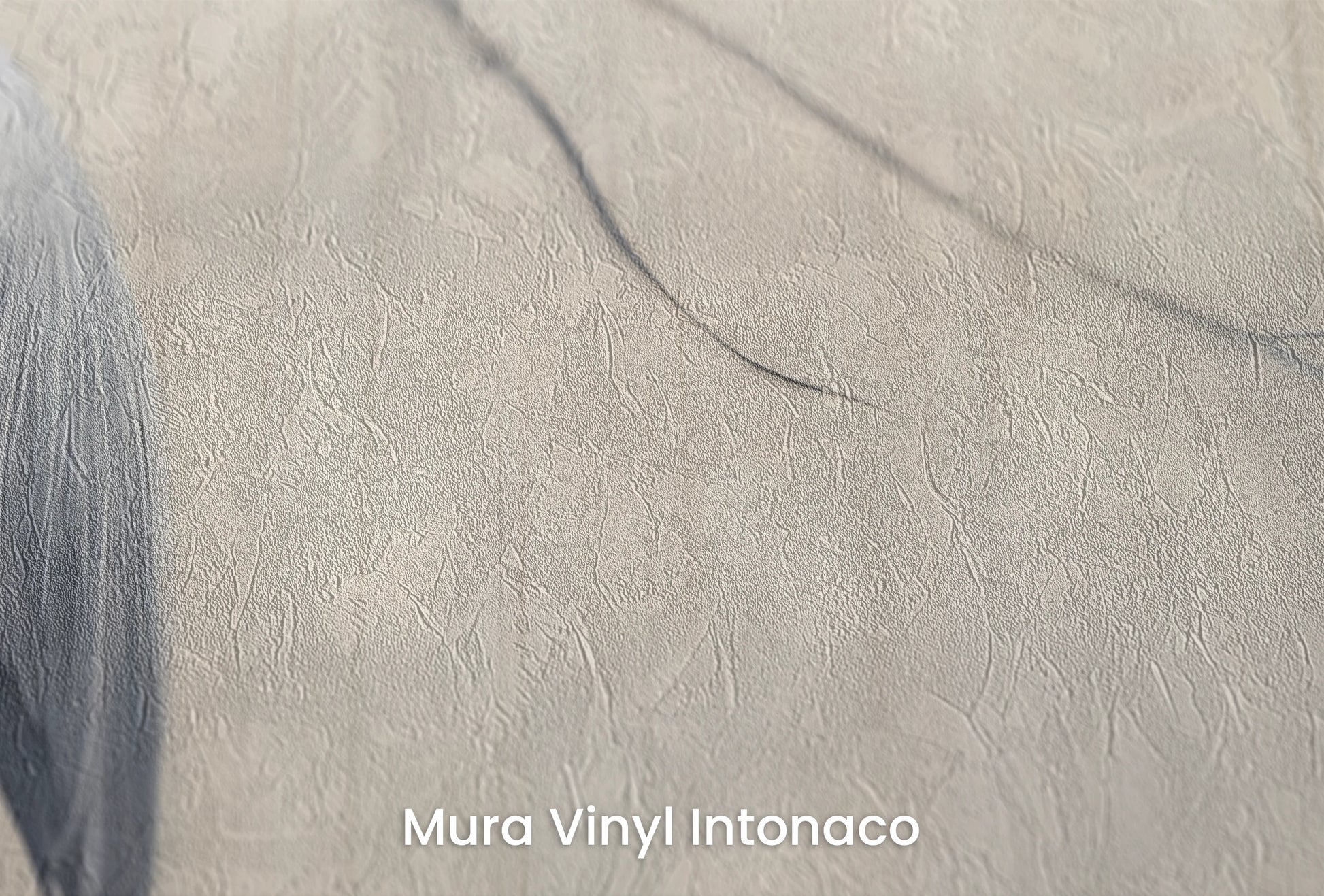 Zbliżenie na artystyczną fototapetę o nazwie Heron's Realm na podłożu Mura Vinyl Intonaco - struktura tartego tynku.