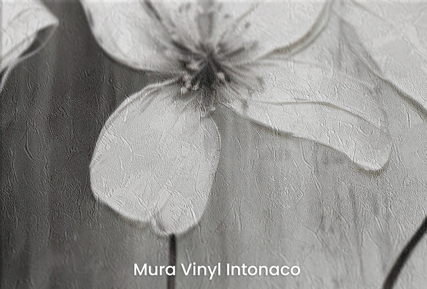 Zbliżenie na artystyczną fototapetę o nazwie CHIAROSCURO BLOSSOMS na podłożu Mura Vinyl Intonaco - struktura tartego tynku.