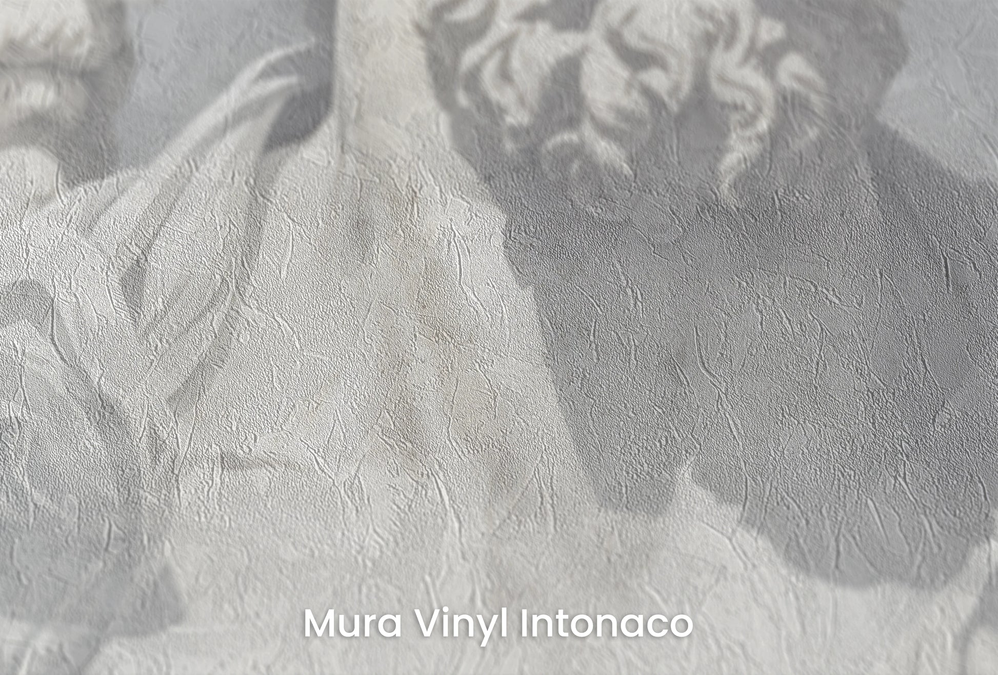 Zbliżenie na artystyczną fototapetę o nazwie Eternal Contemplation na podłożu Mura Vinyl Intonaco - struktura tartego tynku.