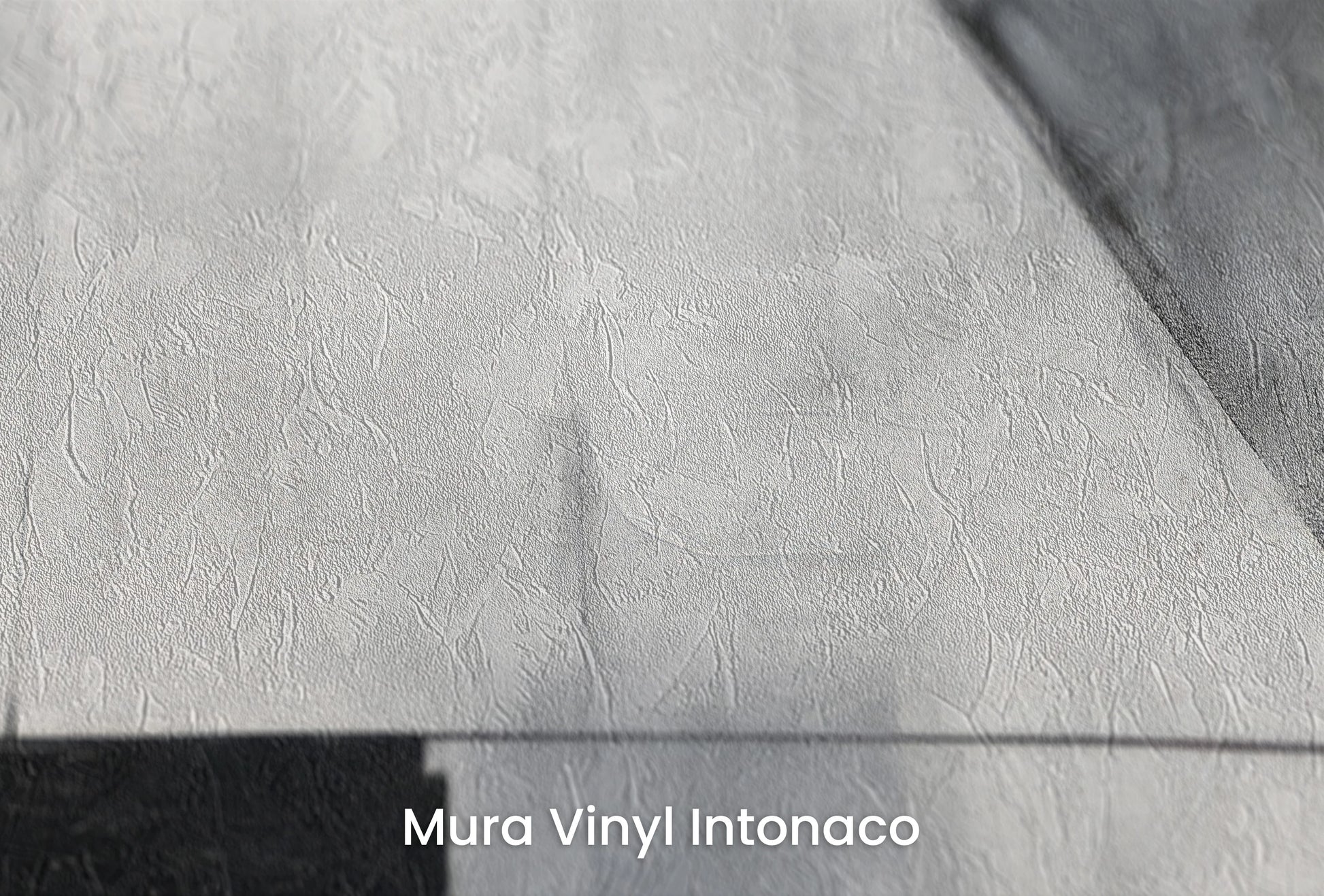 Zbliżenie na artystyczną fototapetę o nazwie Geometric Silence na podłożu Mura Vinyl Intonaco - struktura tartego tynku.