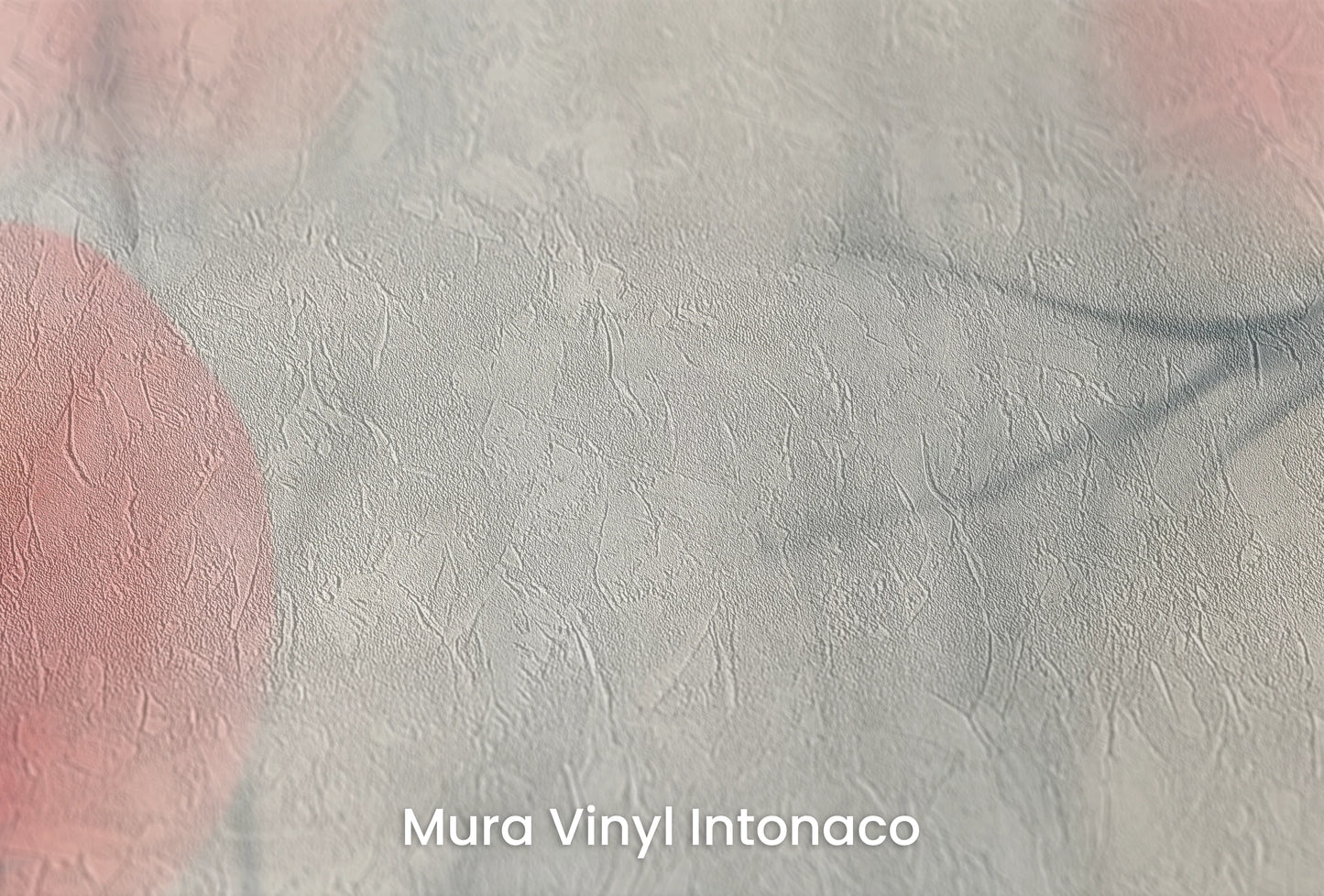 Zbliżenie na artystyczną fototapetę o nazwie Misty Flora Softness na podłożu Mura Vinyl Intonaco - struktura tartego tynku.