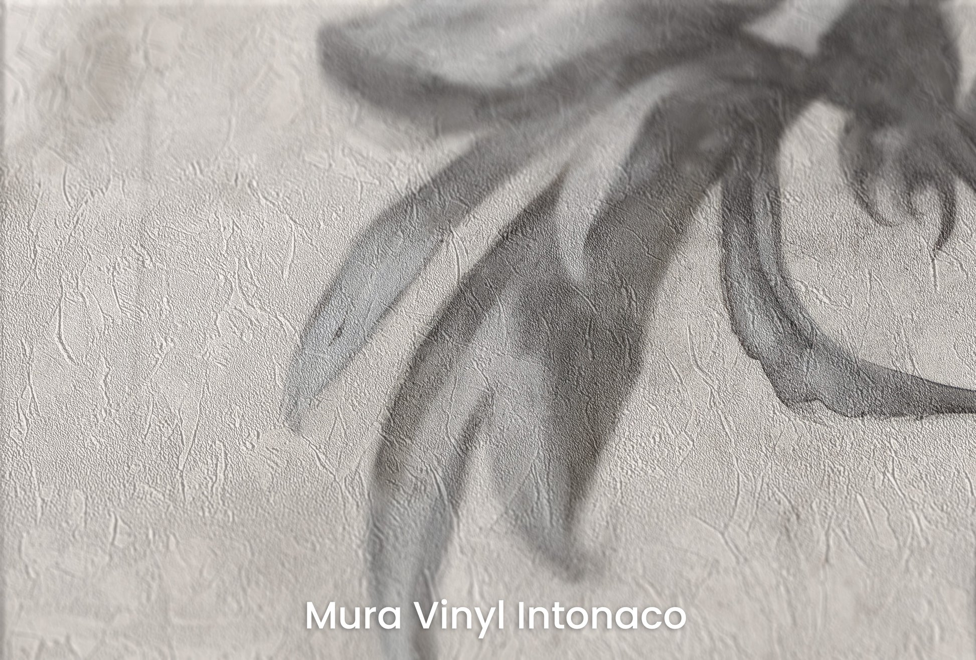 Zbliżenie na artystyczną fototapetę o nazwie MONOCHROME BLOOM INK SKETCH na podłożu Mura Vinyl Intonaco - struktura tartego tynku.