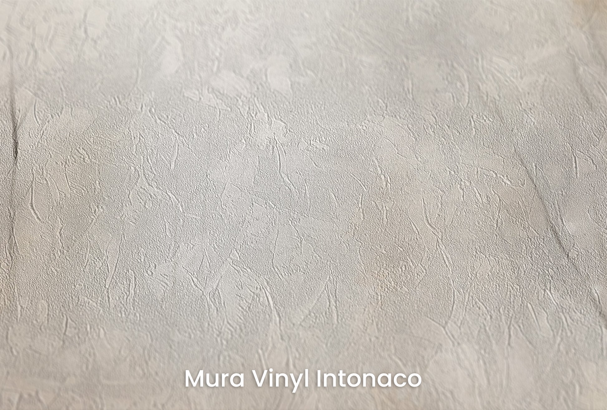 Zbliżenie na artystyczną fototapetę o nazwie ENCHANTED MISTY GROVE MURAL na podłożu Mura Vinyl Intonaco - struktura tartego tynku.
