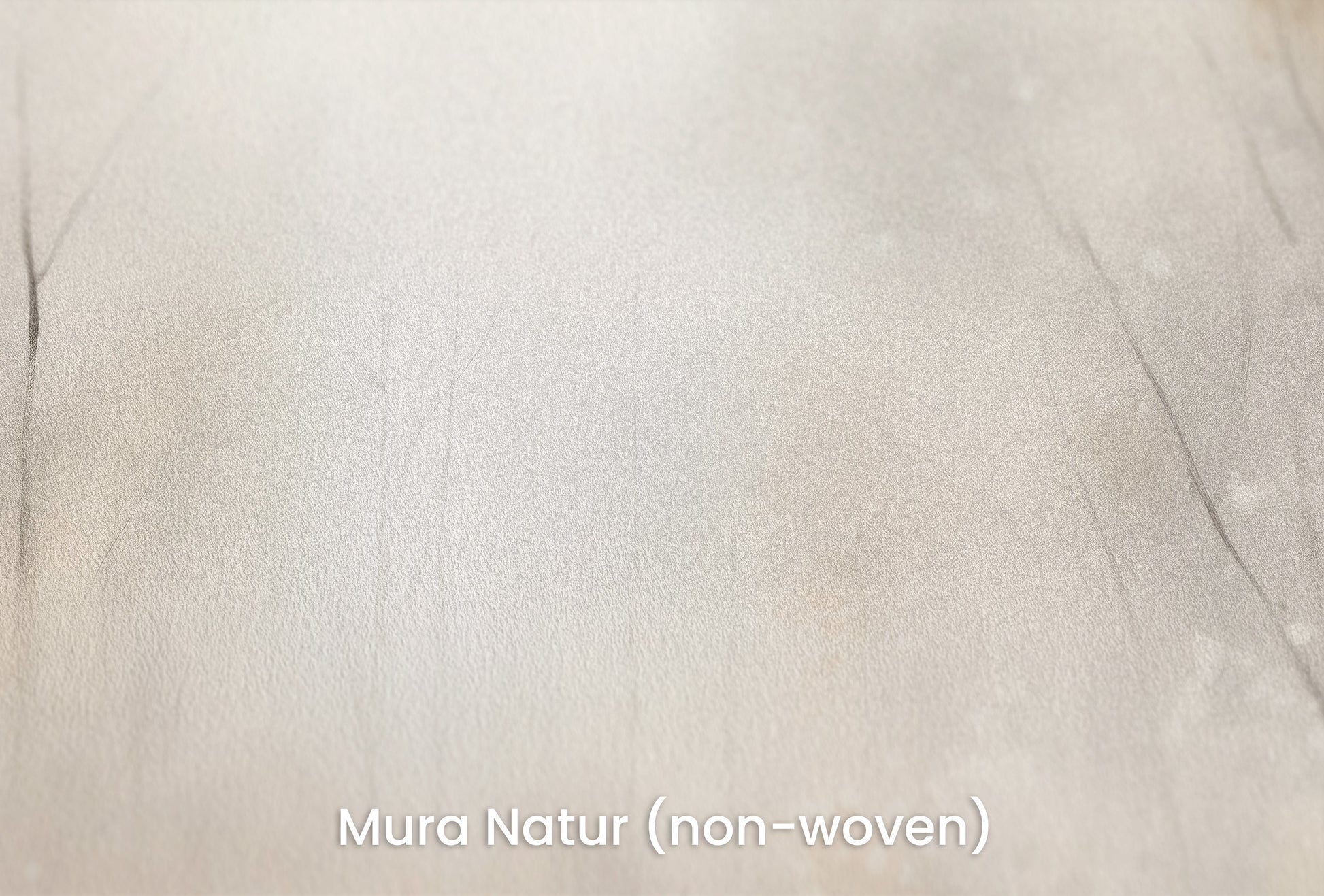 Zbliżenie na artystyczną fototapetę o nazwie ENCHANTED MISTY GROVE MURAL na podłożu Mura Natur (non-woven) - naturalne i ekologiczne podłoże.