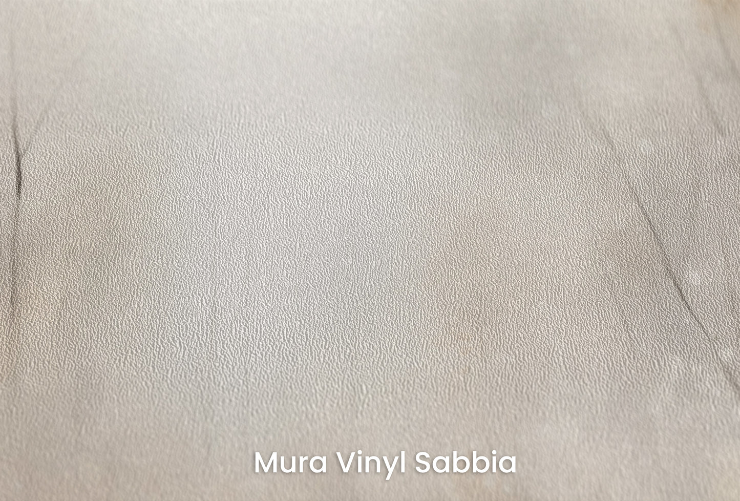Zbliżenie na artystyczną fototapetę o nazwie ENCHANTED MISTY GROVE MURAL na podłożu Mura Vinyl Sabbia struktura grubego ziarna piasku.