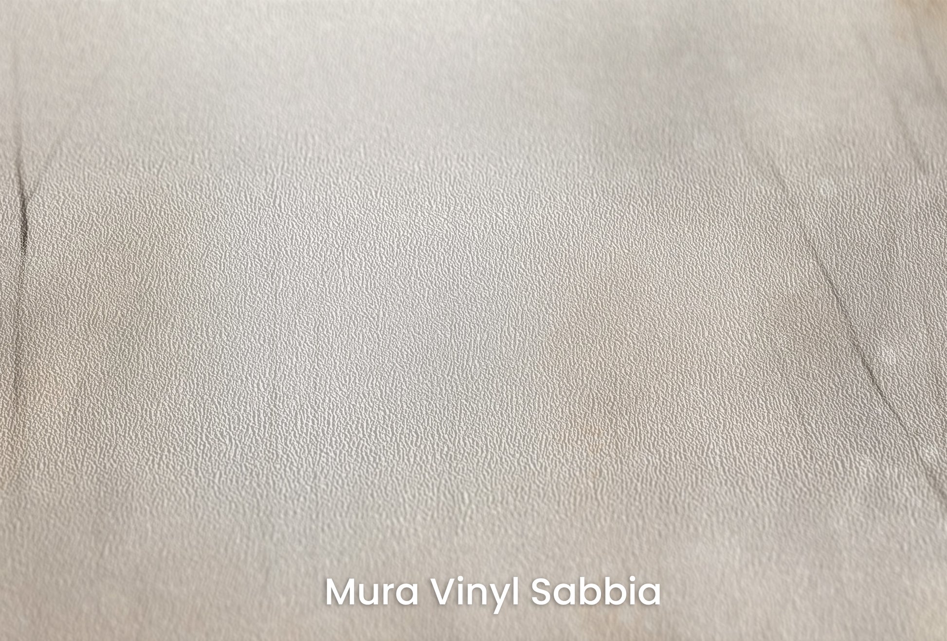 Zbliżenie na artystyczną fototapetę o nazwie ENCHANTED MISTY GROVE MURAL na podłożu Mura Vinyl Sabbia struktura grubego ziarna piasku.