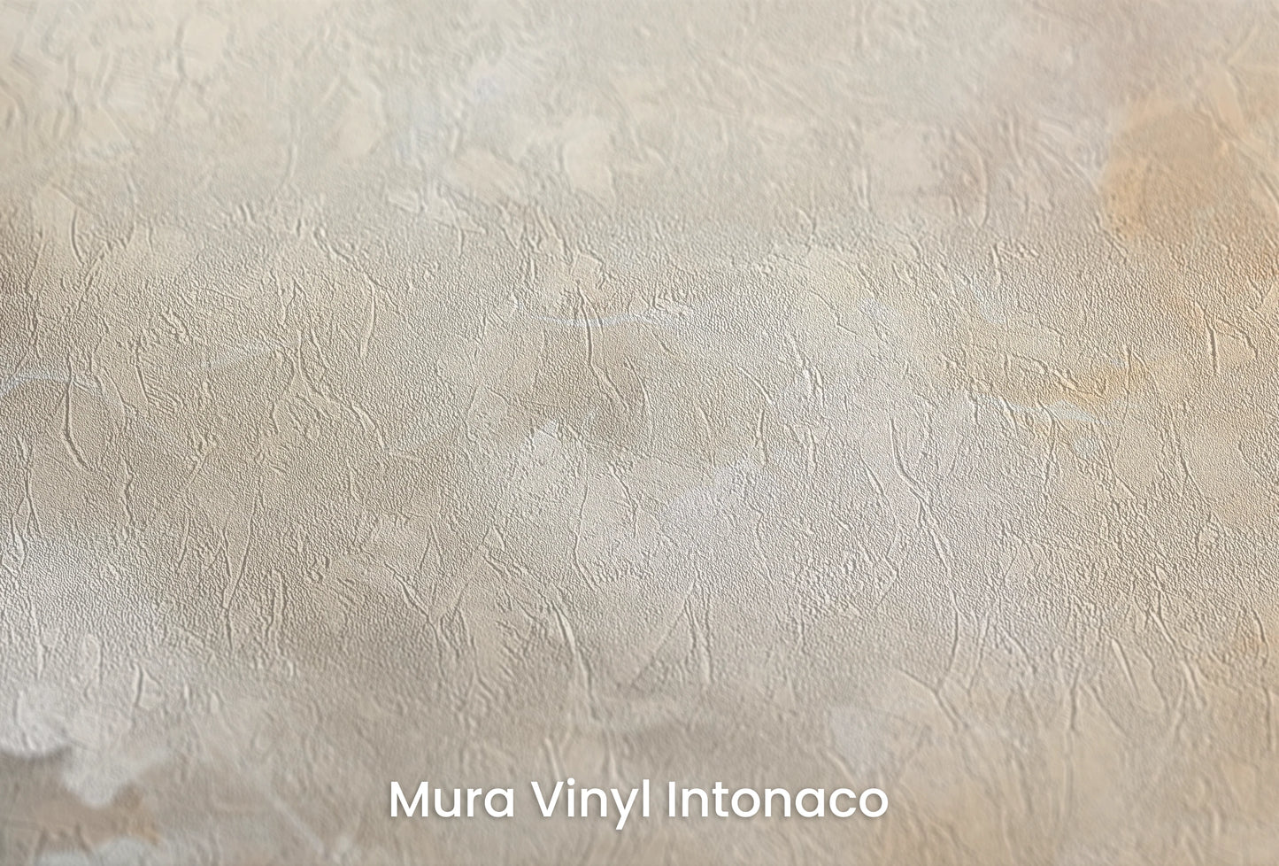 Zbliżenie na artystyczną fototapetę o nazwie Venusian Twilight na podłożu Mura Vinyl Intonaco - struktura tartego tynku.