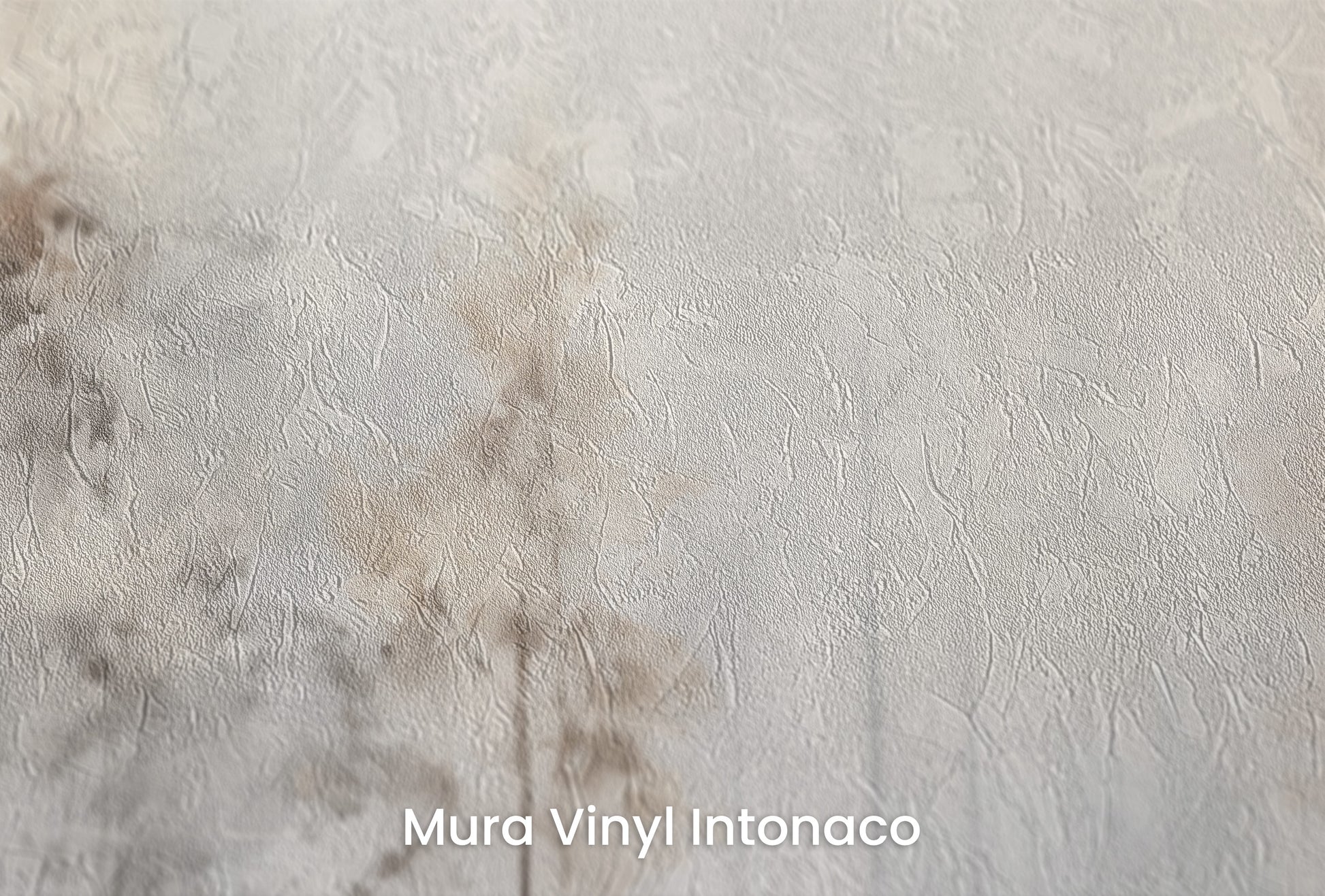 Zbliżenie na artystyczną fototapetę o nazwie WINTER FROST FOREST MURAL na podłożu Mura Vinyl Intonaco - struktura tartego tynku.